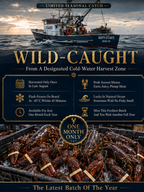 🦞 Maine Lobster Tail | High‑Protein Guilt‑Free Treat-Joy