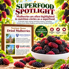 🌞 Premium Sun-Dried Black Mulberries – Large, Plump & Naturally Sweet 🍇-Yana