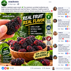 🌞 Premium Sun-Dried Black Mulberries – Large, Plump & Naturally Sweet 🍇-Yana