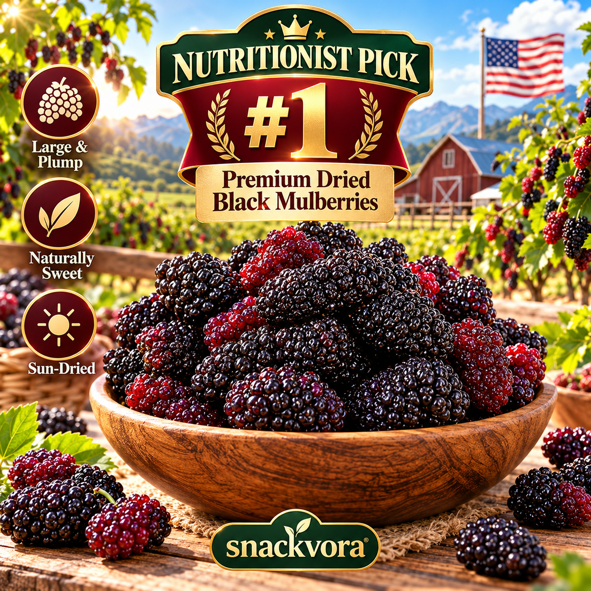 🌞 Premium Sun-Dried Black Mulberries – Large, Plump & Naturally Sweet 🍇-Yana