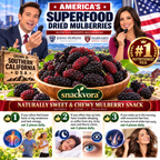 🌞 Premium Sun-Dried Black Mulberries – Large, Plump & Naturally Sweet 🍇-Yana