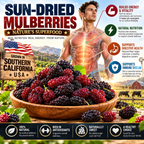 🌞 Premium Sun-Dried Black Mulberries – Large, Plump & Naturally Sweet 🍇-Yana