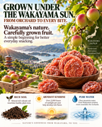 🍑 Premium Japanese Dried Plums from Wakayama, Japan 🇯🇵 | Soft, Chewy & Naturally Sweet-YANA
